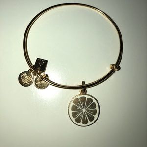 Alex and Ani Zest for Life Bracelet